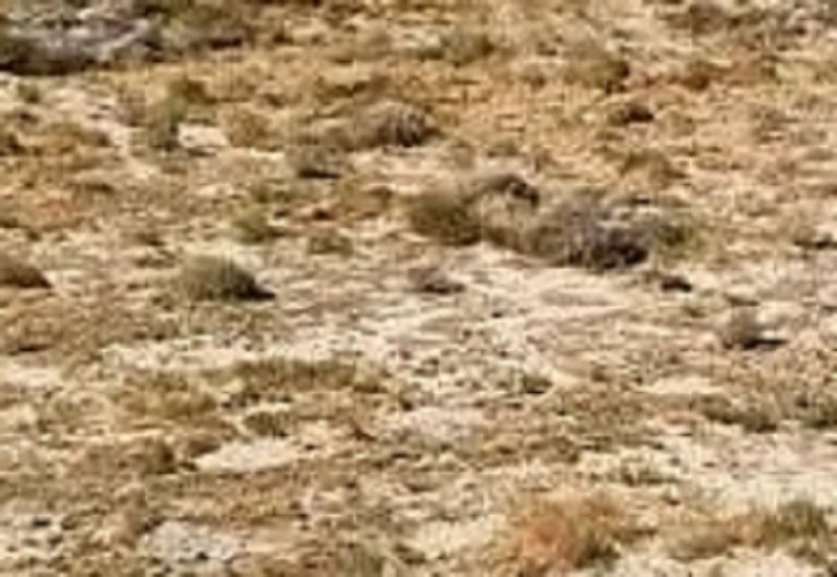 land for sale in palmdale ca by @ICREALTOR
